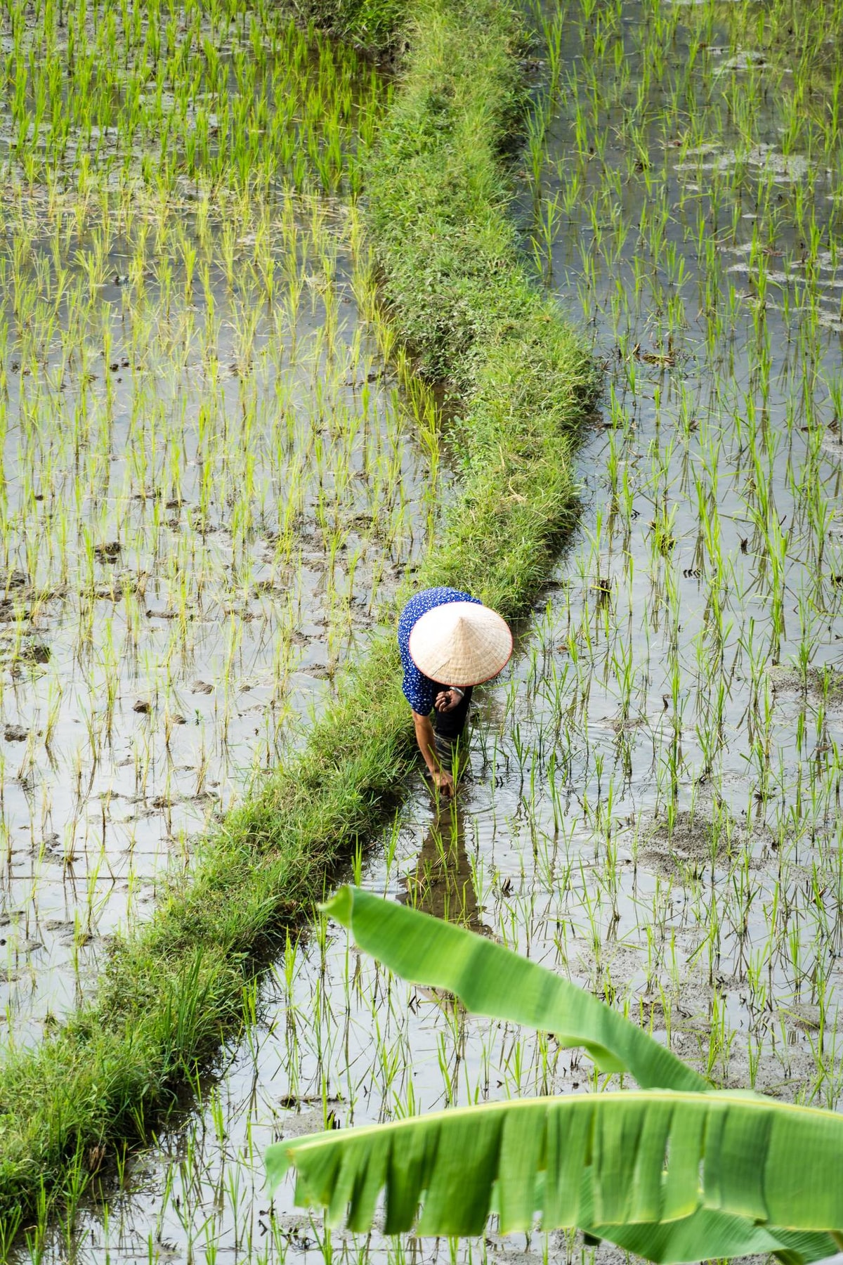 Vietnam_Ha_Giang-137.jpg
